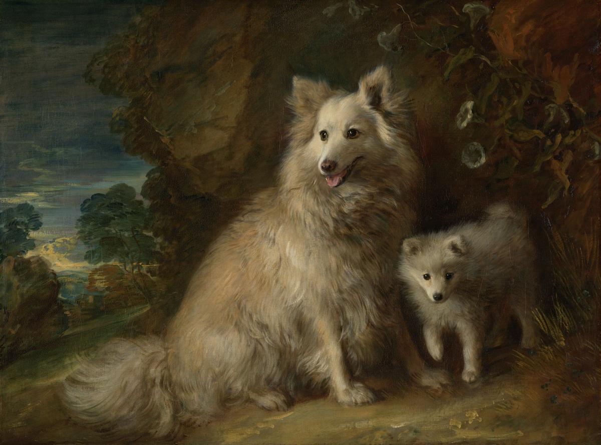 Pomeranian painting by Thomas Gainsborough