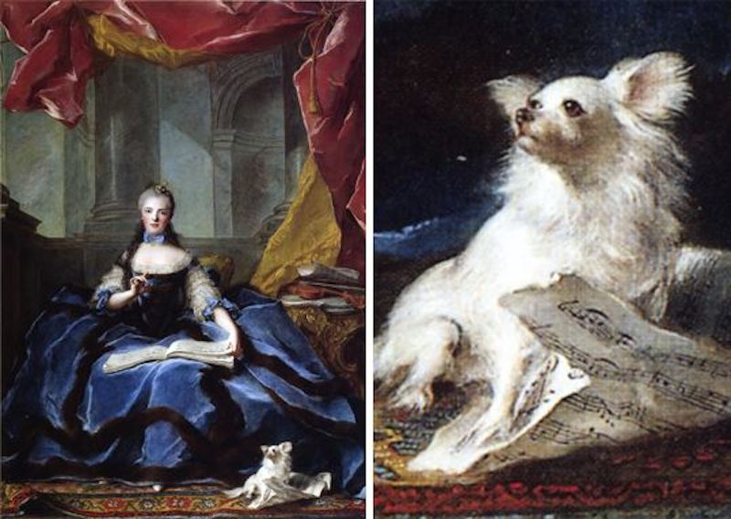 Queen Charlotte with a Pomeranian